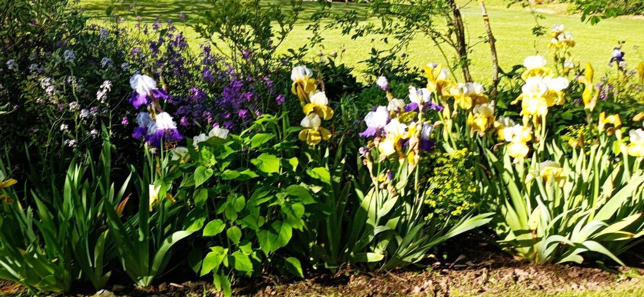 Chambre D'Hotes Au Jardin De La Bachellerie エクステリア 写真